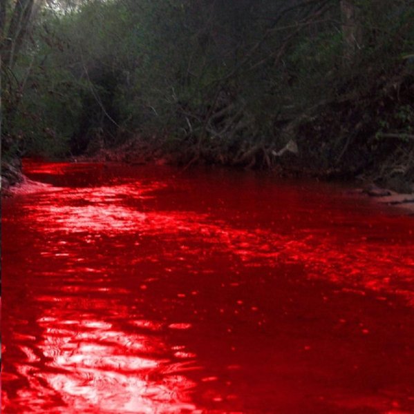 Окровавленное сердце в руках