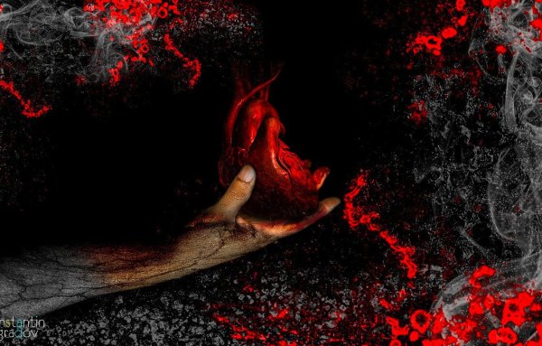 Суккуб Миа темная башня