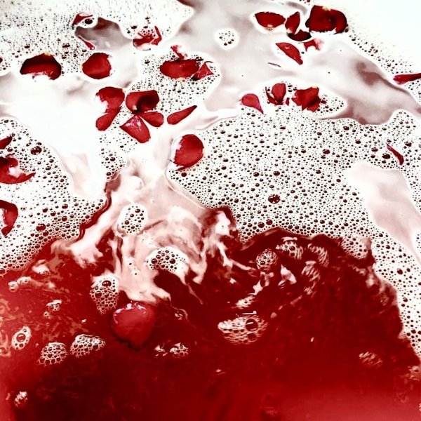 Кровавый водопад в Антарктиде