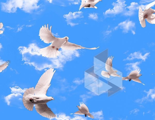 Фон голубое небо с голубями