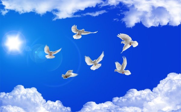 Голубь в облаках