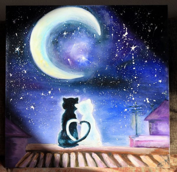 Кот на фоне звездного неба