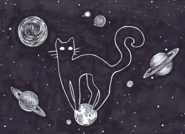 Звёздные котята