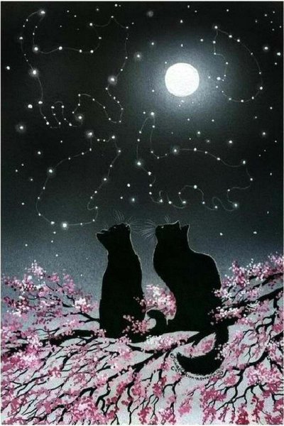 Кот в космосе