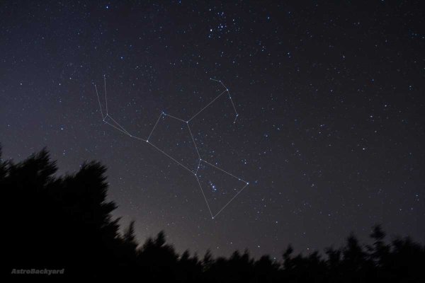 Созвездие Ориона на небе