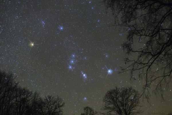 Звездное небо осенью большая Медведица