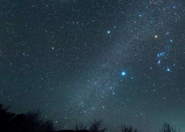 Сириус на Звездном небе созвездия