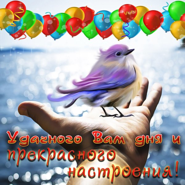 Доброго мирного утра