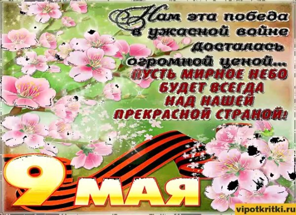 Доброго дня и мирного неба