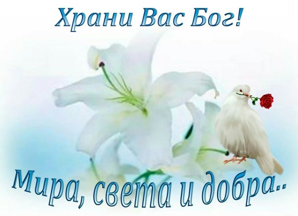 Доброе Весеннее утро
