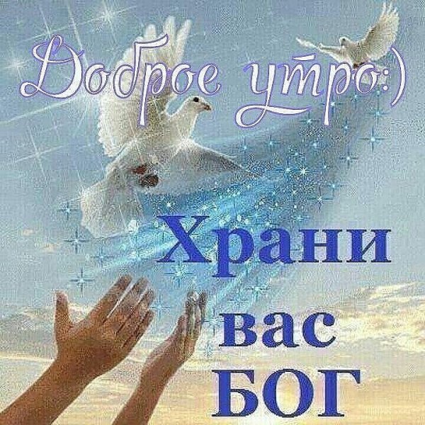 Мирного неба над головой