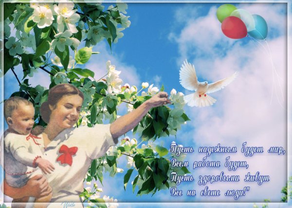 Голуби в небе