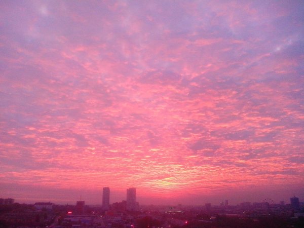 Розовый закат в городе