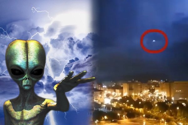 «Пришельцы из космоса?» Тима Шоукросса