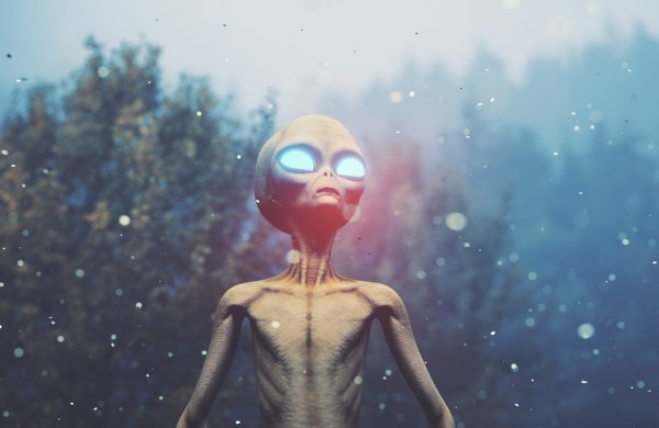 Ксенобиология кремниевая жизнь