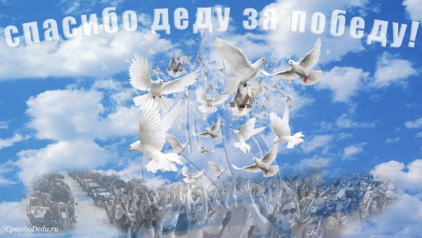 Светлого неба над головой