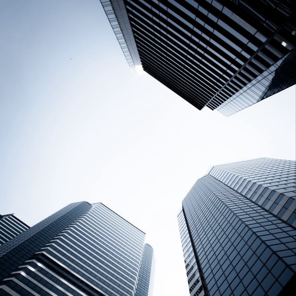 Дмитрий Чистопрудов фотограф