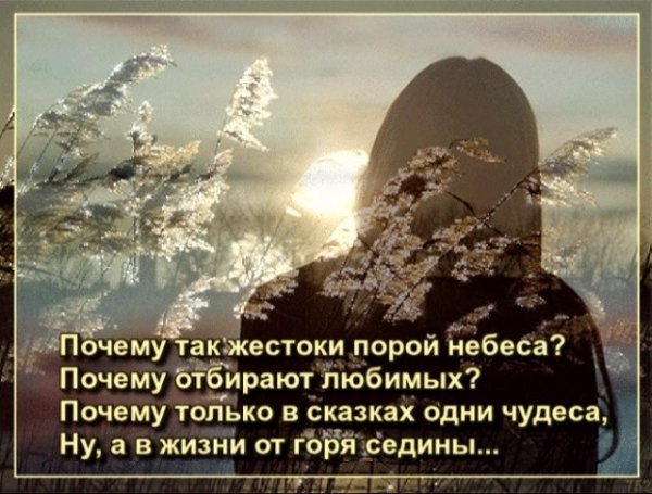 40 Дней после смерти стихи