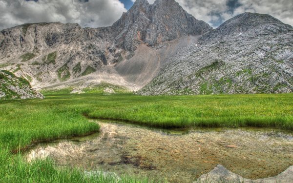 Заросшие горы