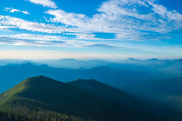 Курайская степь