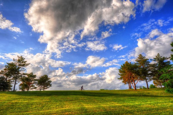 Дерево в облаках