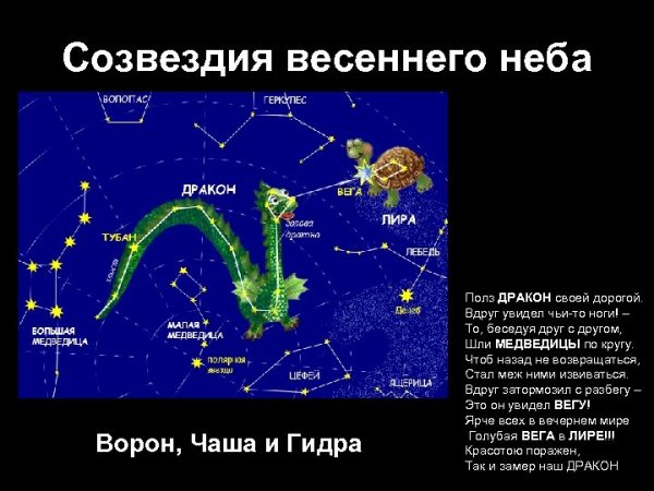 Зодиакальное Созвездие Дева