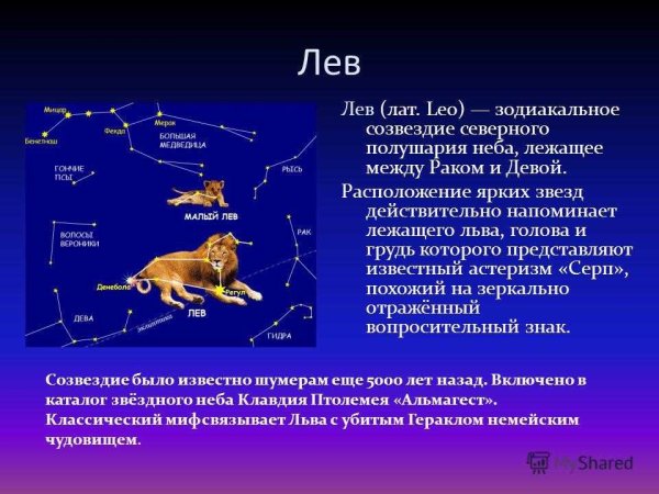 Созвездие Орион лебедь Кассиопея по точкам