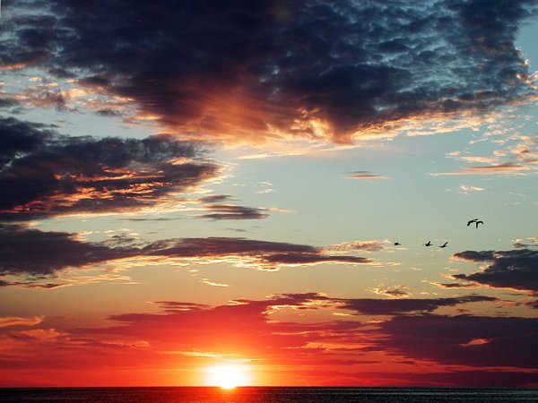 Предзакатное небо