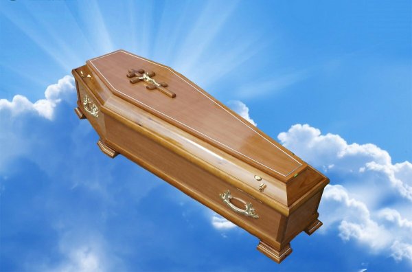 Панорамный гроб