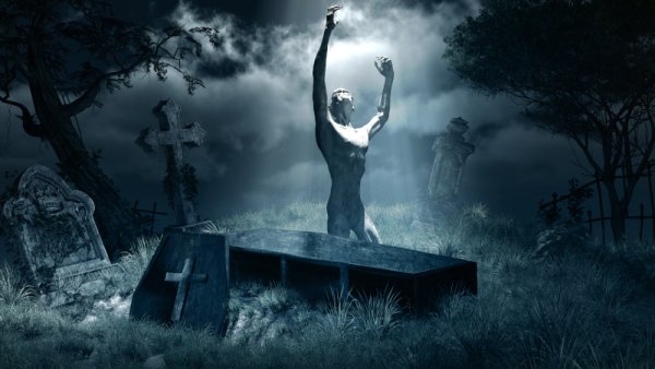 Коффин гроб