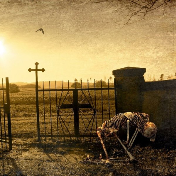 Постель в гроб