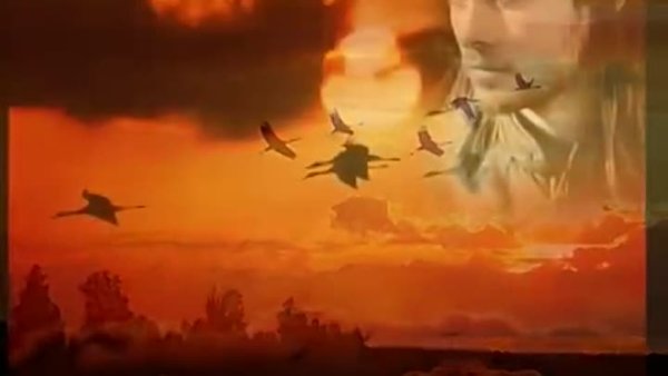 Журавли в небе война