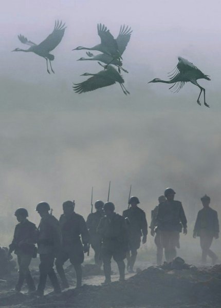 Солдаты превращаются в журавлей