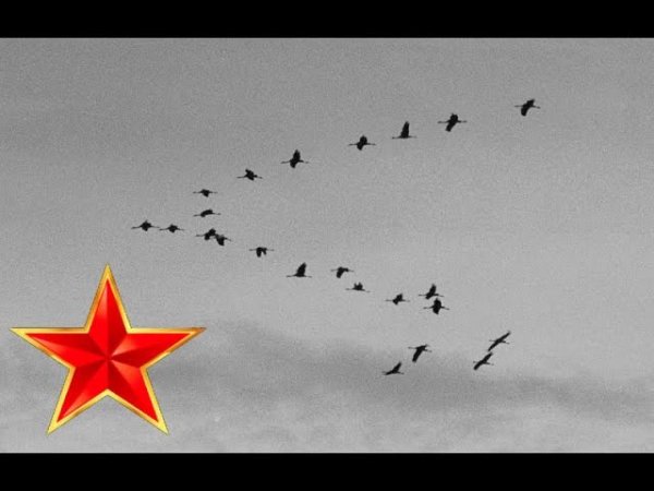 Журавли Великая Отечественная война
