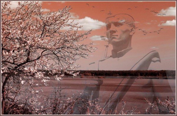 Солдаты Журавли