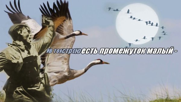 Белые Журавли и солдаты