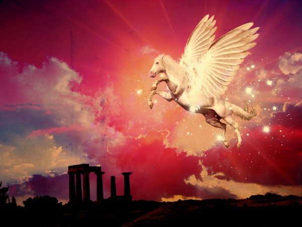 Пегас в небе