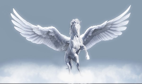 Крылатый конь Тулпар