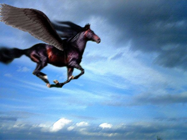 Летающий конь