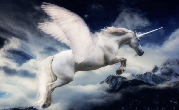 Единорог с крыльями
