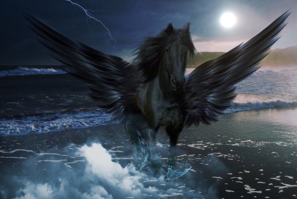Черный конь с крыльями