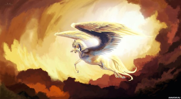 Пегас в небе арт