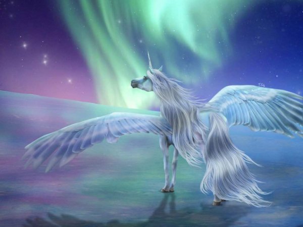 Единорог Пегас Аликорн