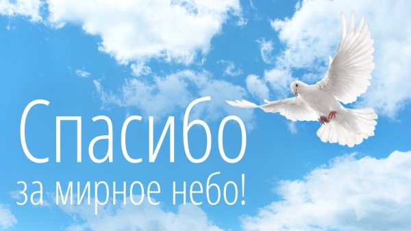 Раннее утро небо