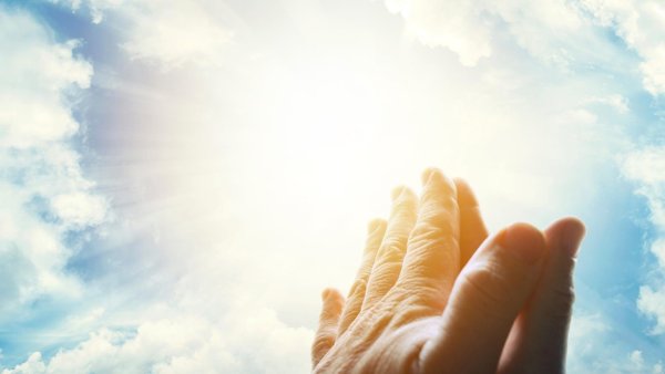 Небо на ладони