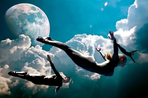 Птица парит в небе