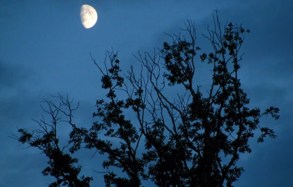 Большая Луна на небе