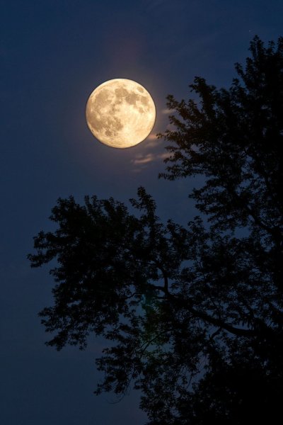 Голубая Луна