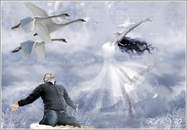 Женщина и перелетные птицы