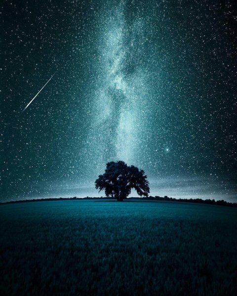 Природа космос